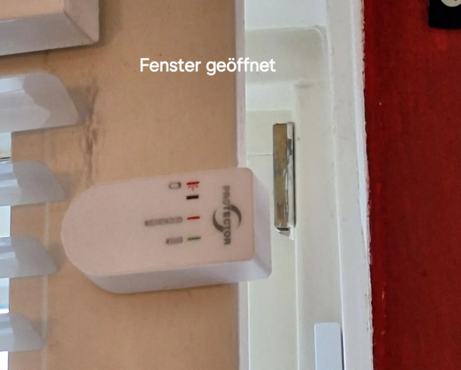 Protector AS-5120 Funk-Abluftsteuerung DIBt Mini-Kontakt