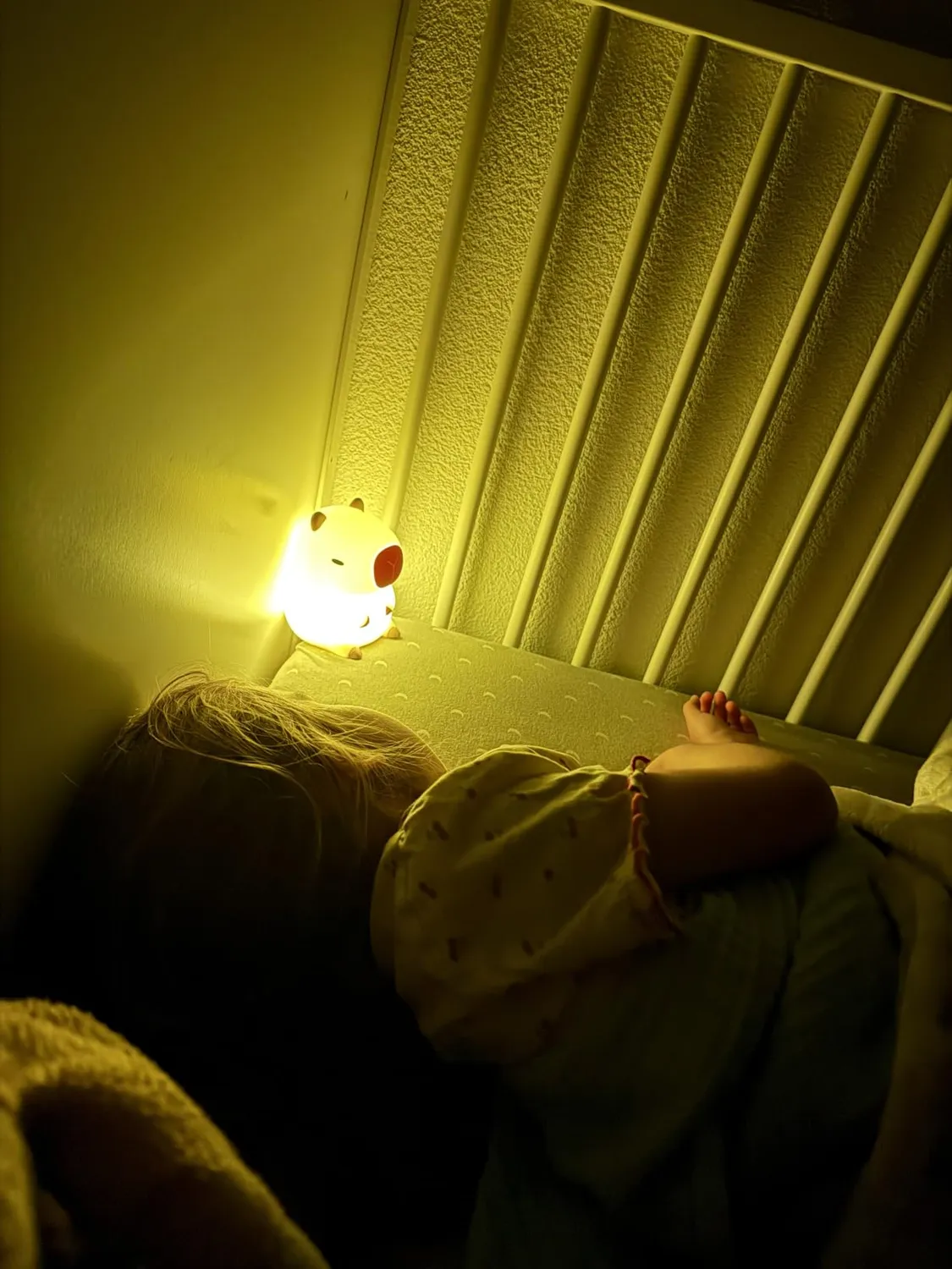 TFA Dostmann 43.2042 Capybara LED-Nachtlicht braun