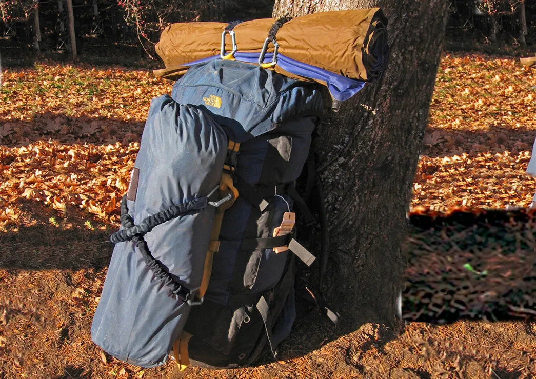 Davis MiniShockle 2440 Spanngummi schwarz 46 cm