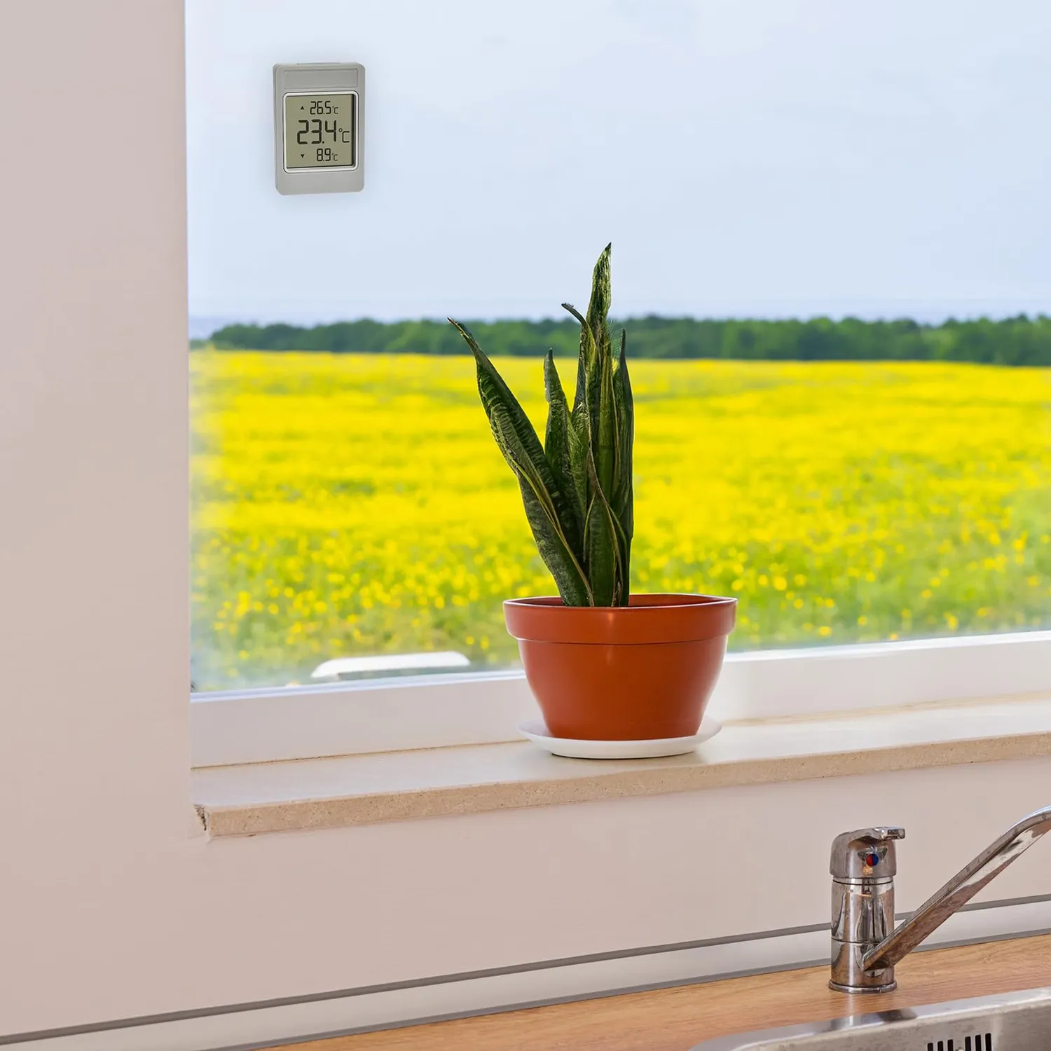 TFA Dostmann Windoo 30.1067.15 Fensterthermometer Grau wetterfest