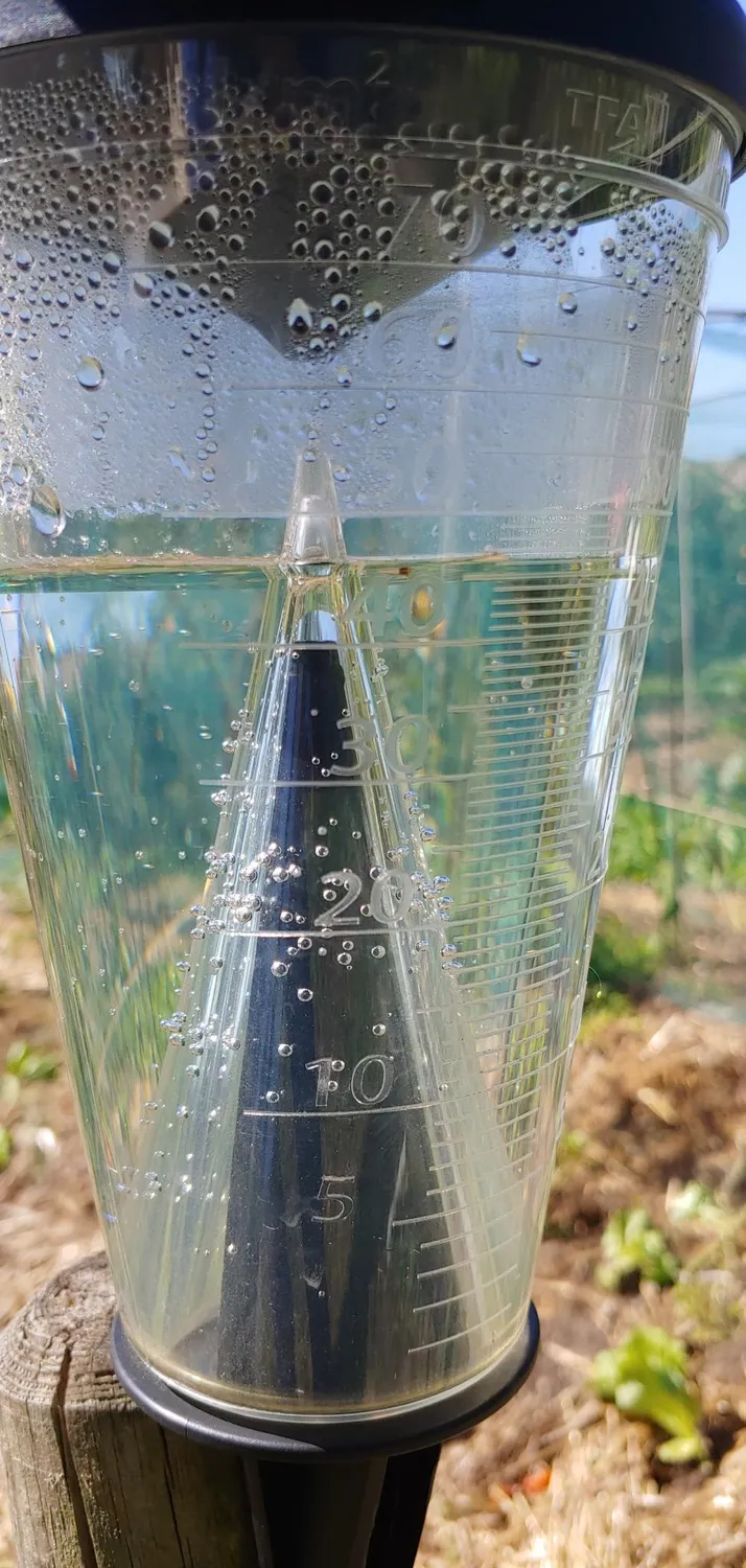 TFA Dostmann 47.1008 Regenmesser Schwarz bis 70 l
