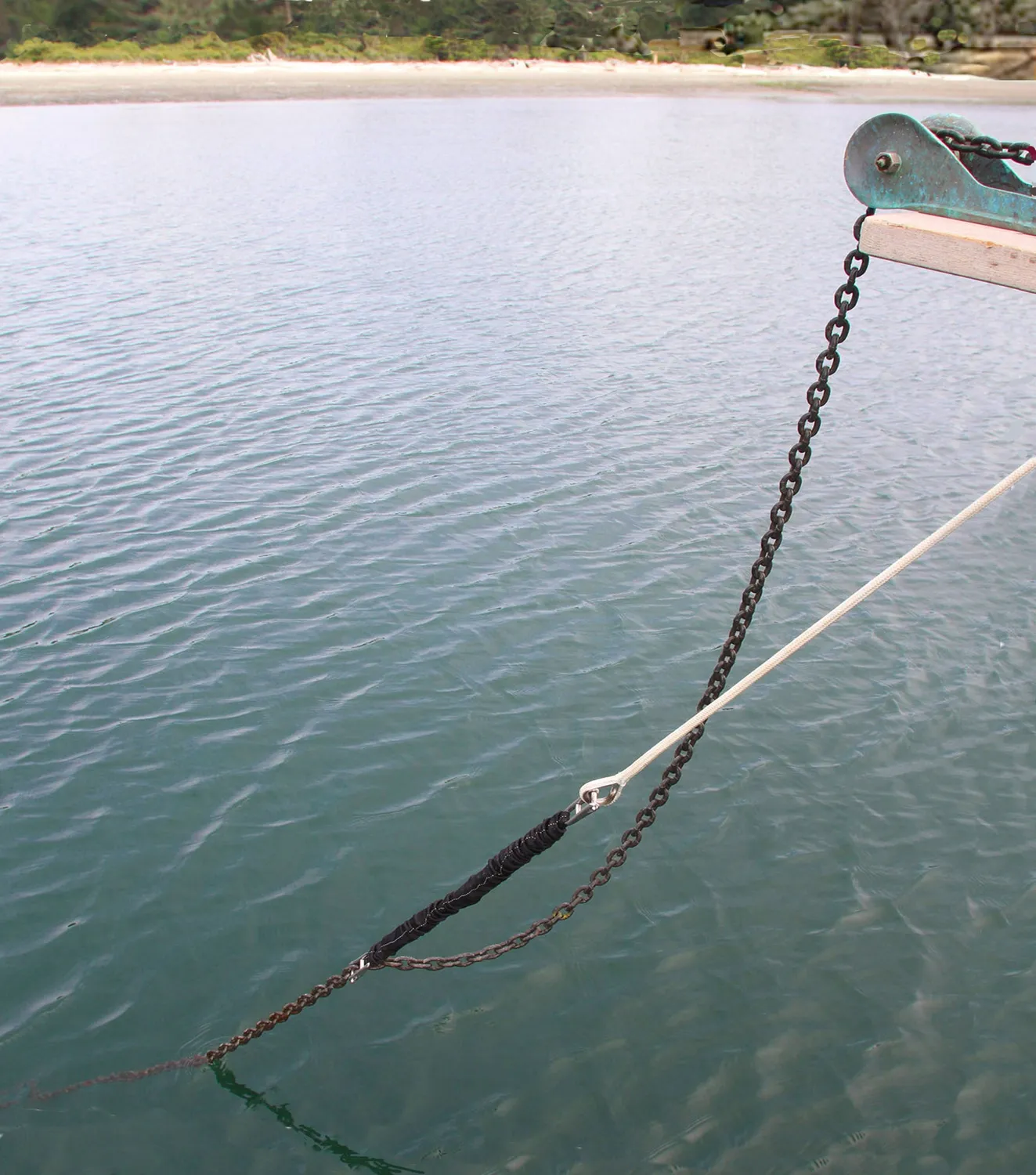Davis Shockles AnchorSnubber Ruckdämpfer 51 cm schwarz
