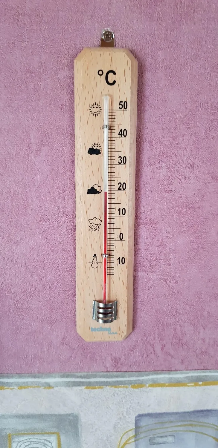 Technoline WA 2020 Thermometer analog Buche -14 bis 50°C