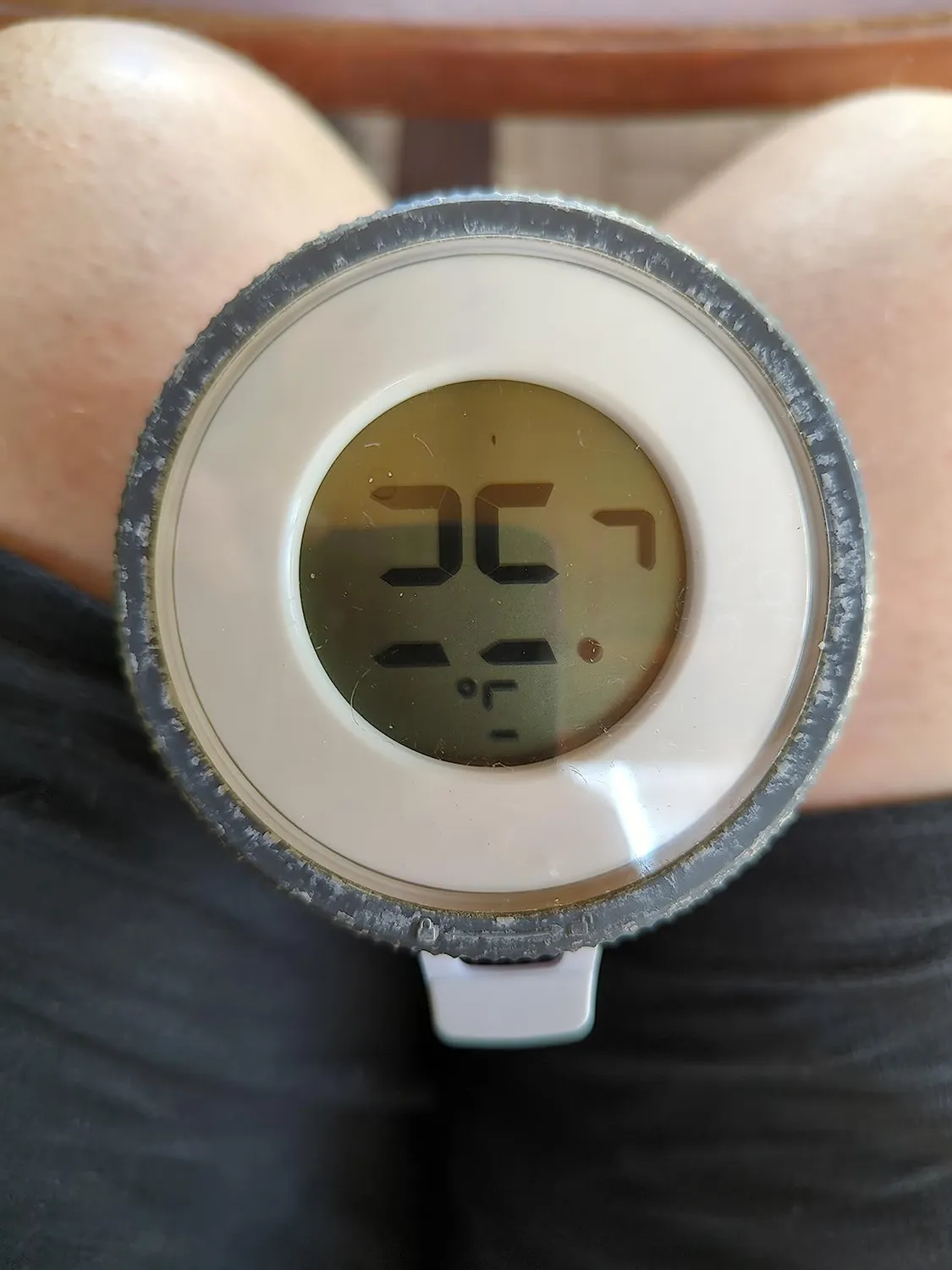 Technoline WS9059 Funk-Poolthermometer mit Basisstation