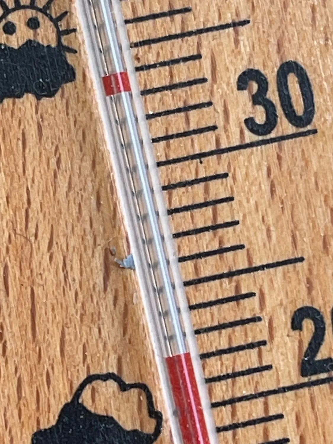 Technoline WA 2020 Thermometer analog Buche -14 bis 50°C
