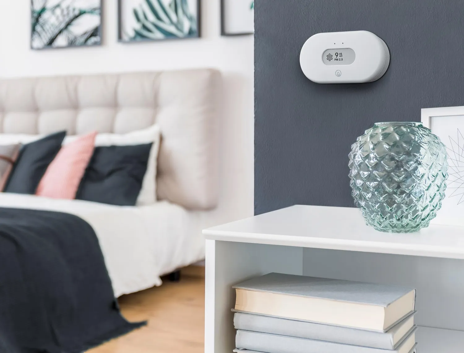 Airthings View Pollution 2980 Feinstaubmessgerät WLAN PM2.5