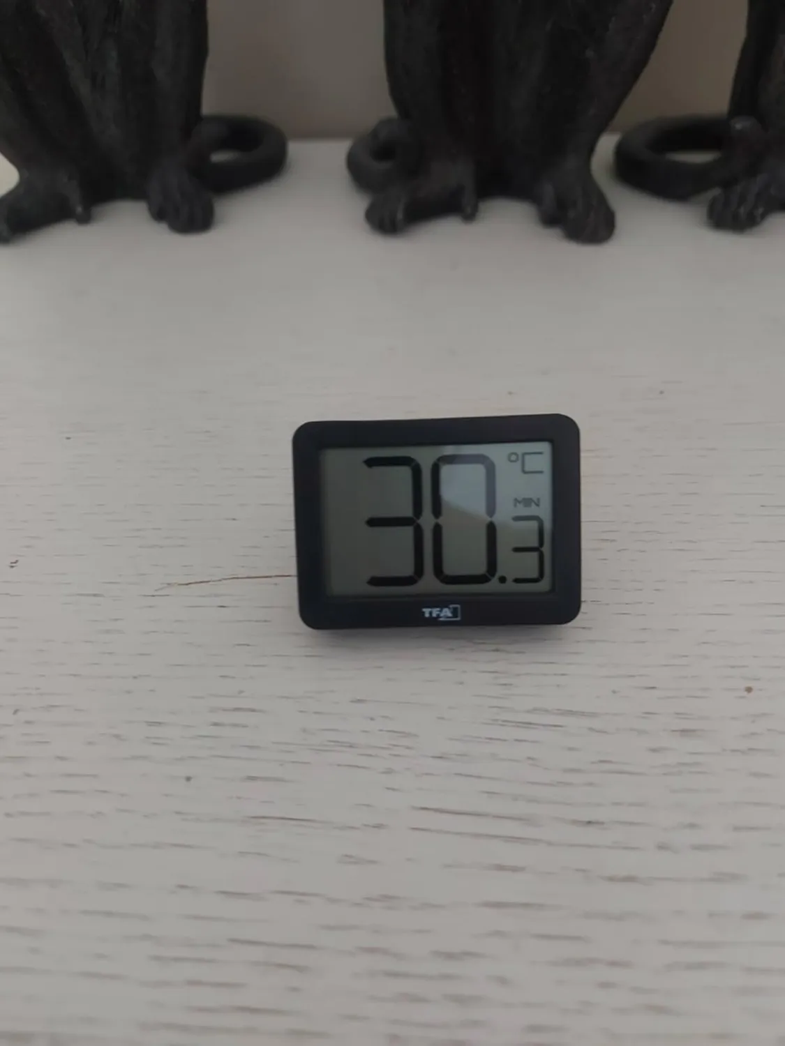 TFA Dostmann 30.1065.01 Thermometer schwarz kompakt Max-Min