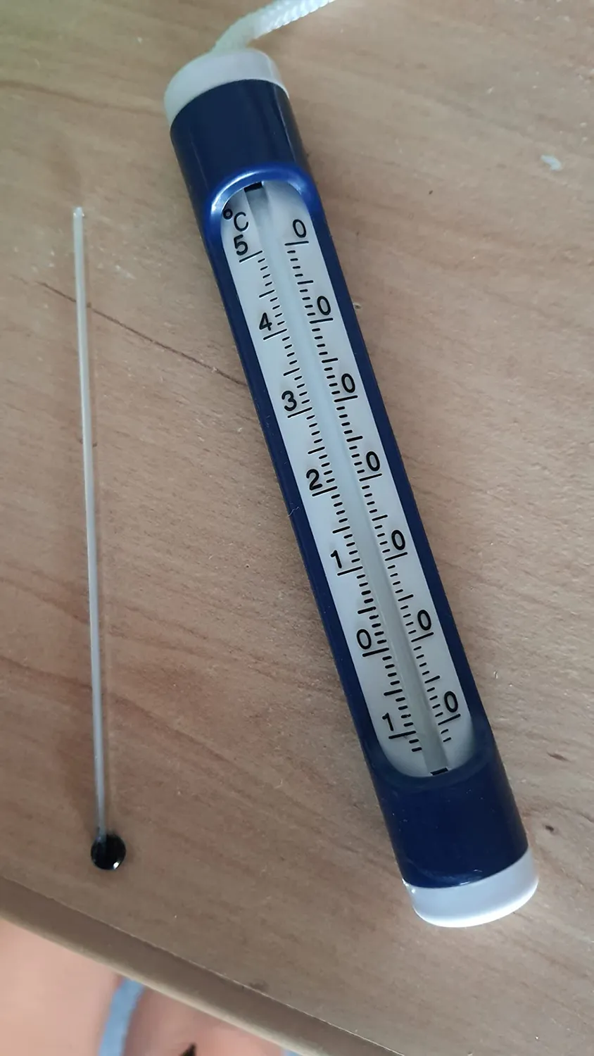 TFA Dostmann 40.2004 Poolthermometer analog -15 bis 50°C