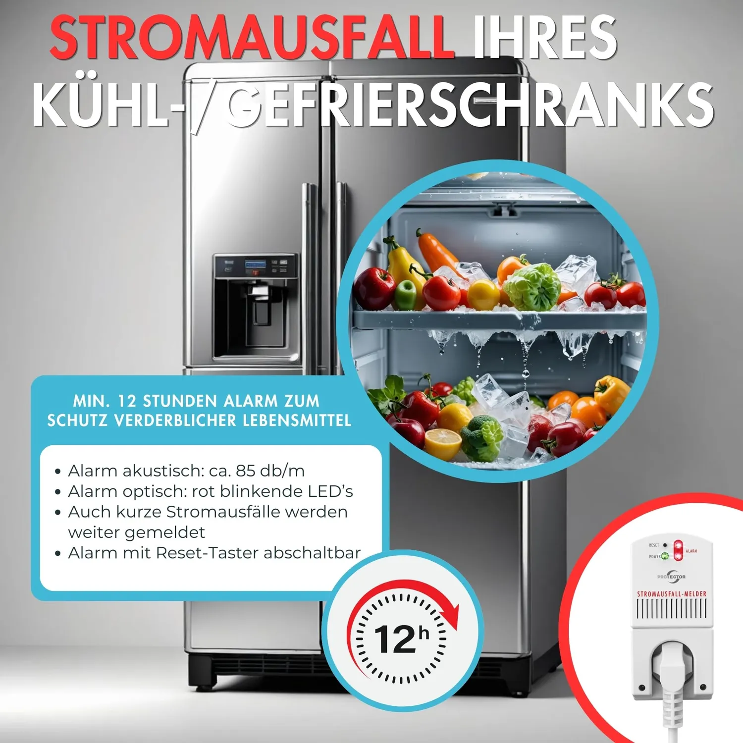 Protector SAM 1000 Stromausfallmelder 3500 W
