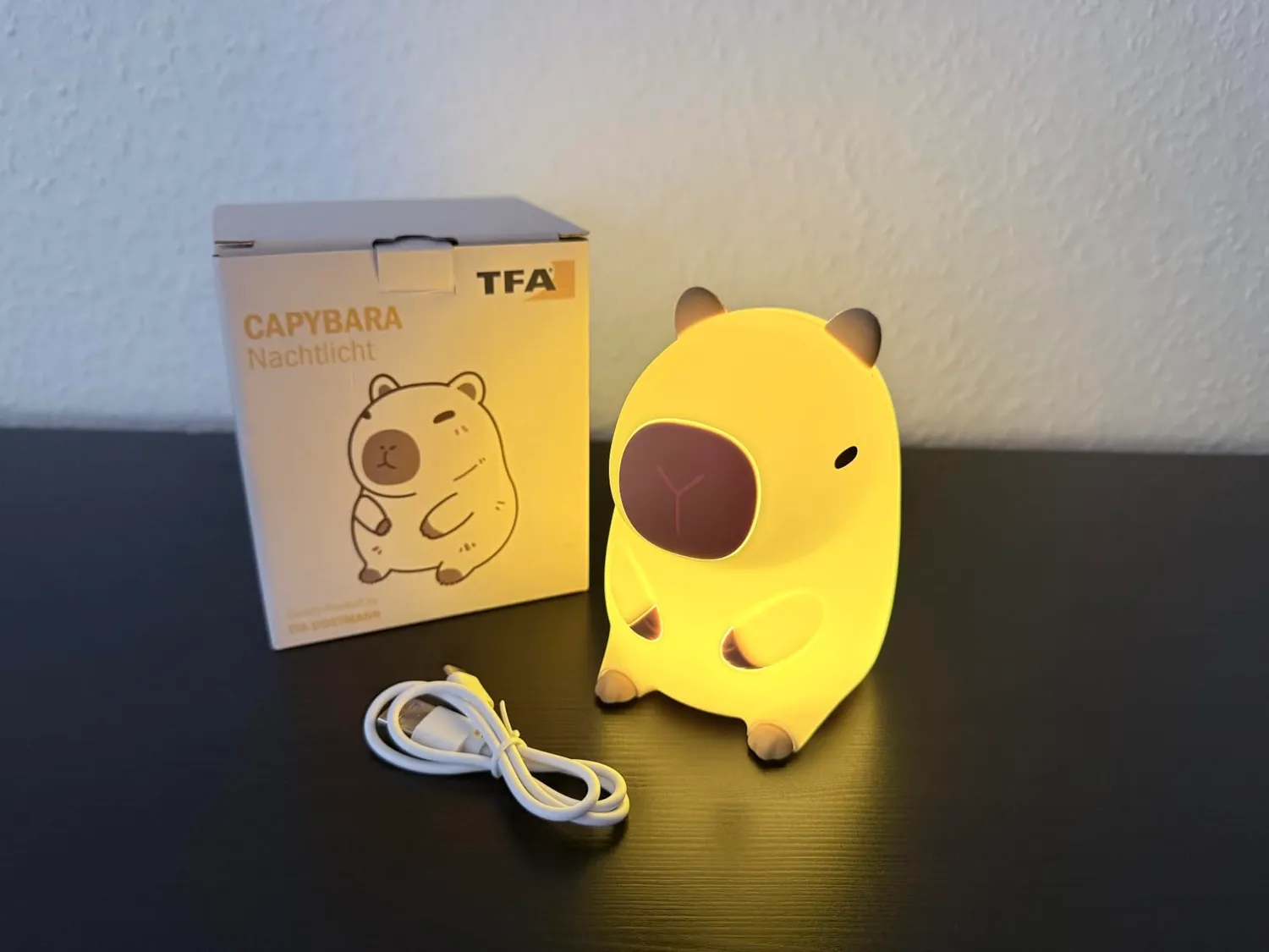 TFA Dostmann 43.2042 Capybara LED-Nachtlicht braun