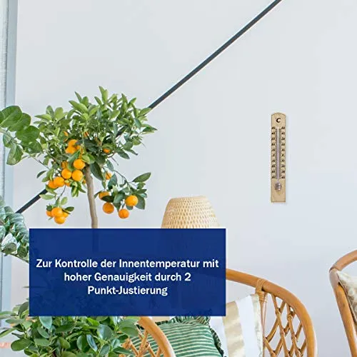 TFA Dostmann 12.1004 Innenthermometer Holz 1 Stück genau