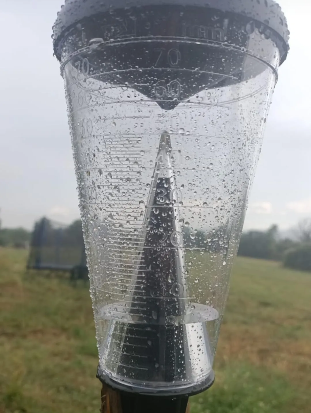 TFA Dostmann 47.1008 Regenmesser Schwarz bis 70 l