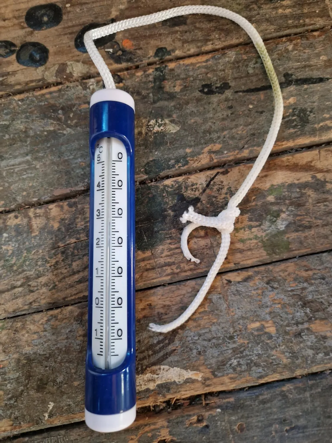 TFA Dostmann 40.2004 Poolthermometer analog -15 bis 50°C