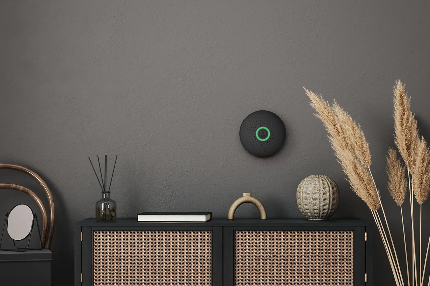 Airthings 2911 Wave Plus Black Edition Radon CO2 Monitor