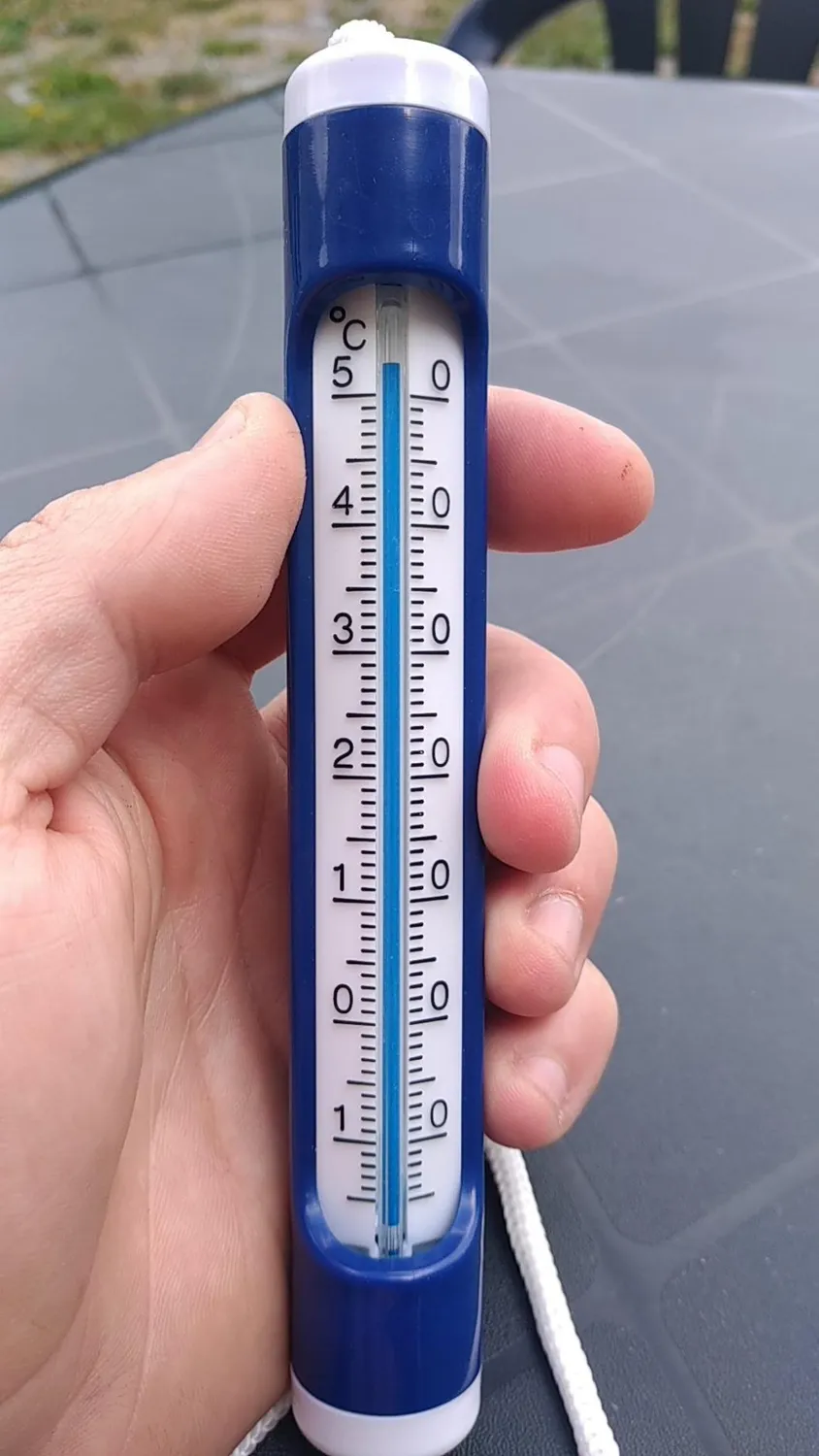 TFA Dostmann 40.2004 Poolthermometer analog -15 bis 50°C